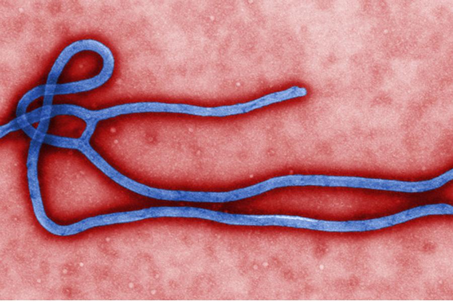 Few students fear Ebola Outbreak