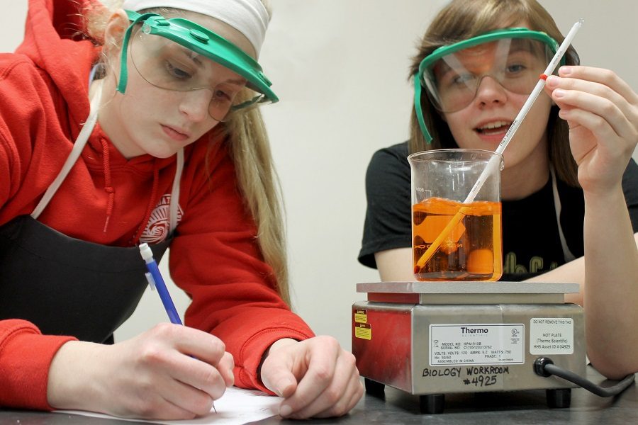 Junior Sara Rohleder and senior Madison Crees work together on Science Olympiad. 