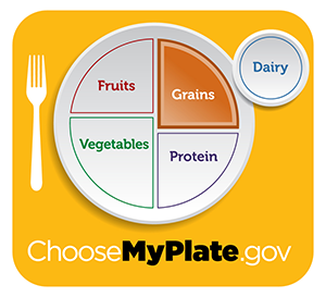 My Plate guidelines detail the recommended servings of fruits, veggies, protein, grains, and dairy per meal. It replaced the traditional food pyramid in 2011.
