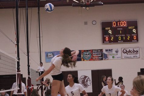 Volleyball places second at WAC