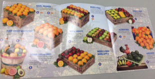 The FFA are selling many different varieties of fruit.