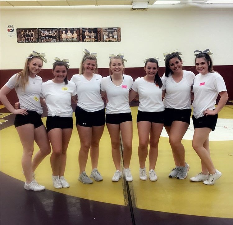 Cheer tryouts were held on April 28 after three days of clinics. Out of the 30 students that tried out, 15 were chosen for varsity and five were chosen for junior varsity. 