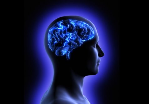 QUIZ: How well is your knowledge on these IQ questions?