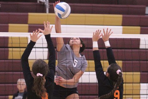 Volleyball ends season at sub-state