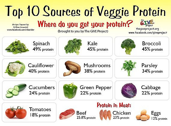 The GIVE project did a survey on what vegetables give the most protein. Most vegetables give a higher percent of protein than meat products.
