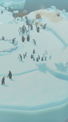 QUIZ: What penguin are you?