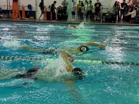 Boys swim participates at Western Athletic Conference