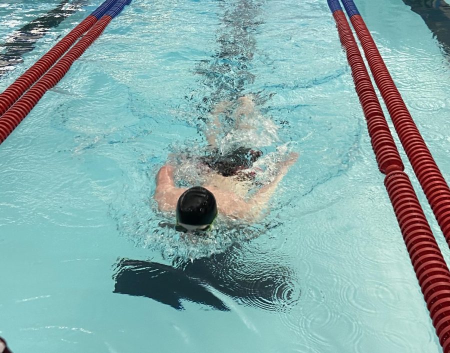A Hays swimmer on his final lap in his event.