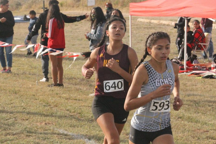 Freshman Arely Maldonado was the only Indian runner that competed at state this year.