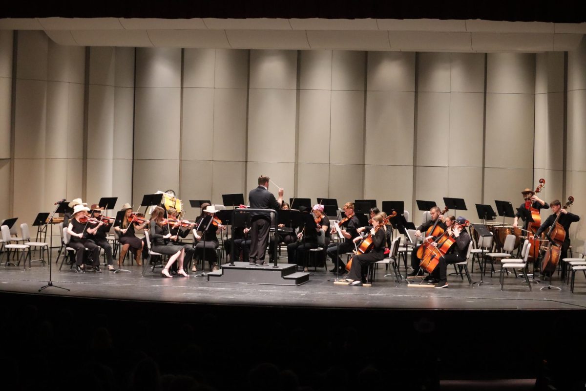 High school orchestras perform at recent Fall Concert