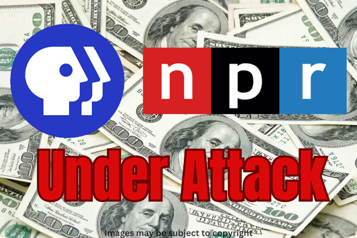 Public media is being suppressed by the government