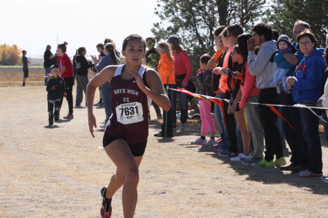 Cross country qualifies for state