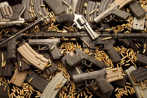 Access to guns should be restricted