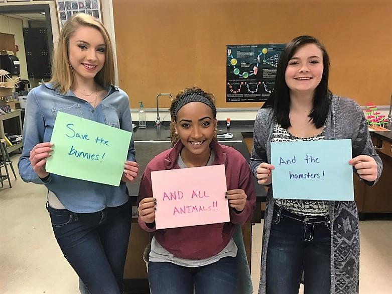 Students share opinions on animal testing
