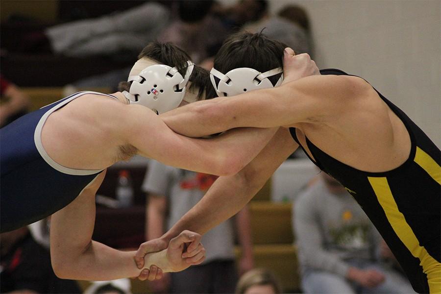 Wrestlers qualify for state
