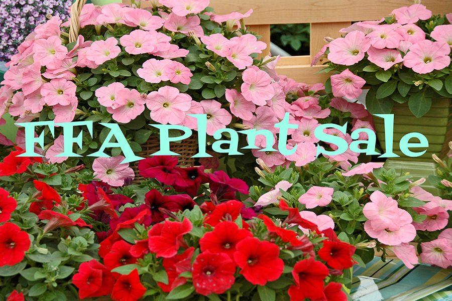 FFA plant sales information