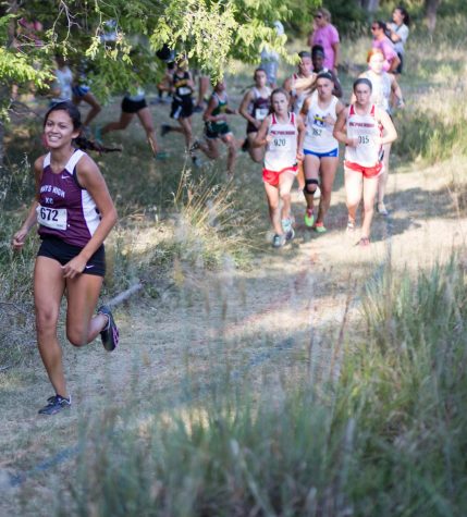 Maldonado, Herreman qualify for state cross country