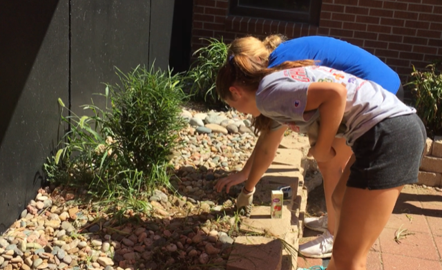 Seniors Madyson Flax and Kallie Leiker pull weeds in the outdoor classroom. All officers helped clean the patio on Aug. 9.