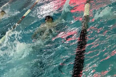 Boys swim takes fourth at WAC