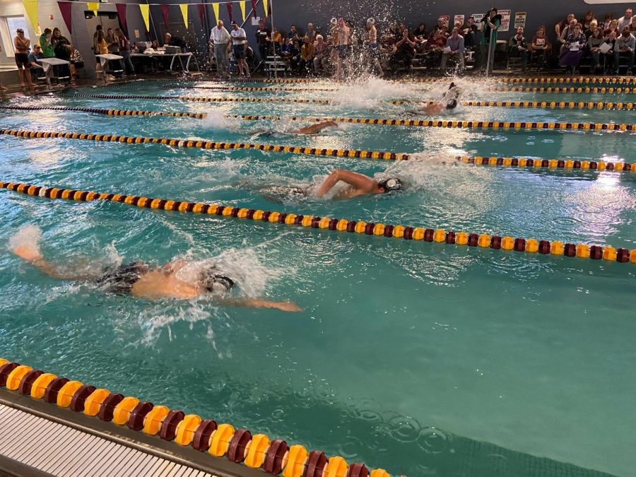 The swimmers take off into their 50 freestyle race.