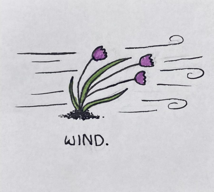 Wind.