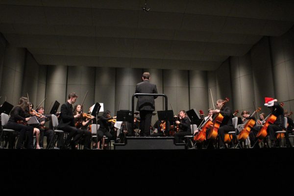 Orchestra members attend state event