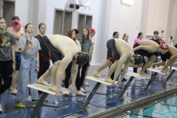 Swimmers prepare to dive into the water for a race at the Hays meet on January 21.